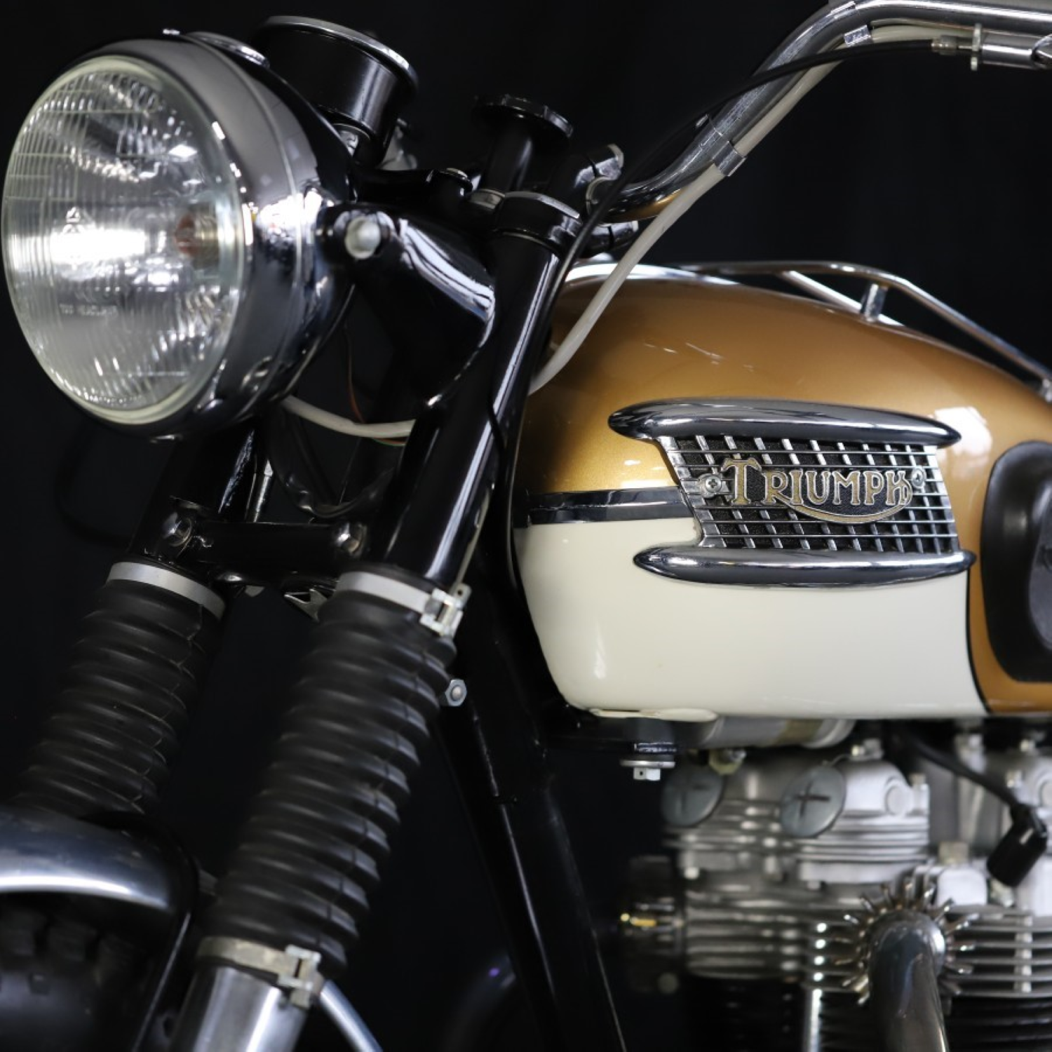 Triumph Alaskan White Paint Product